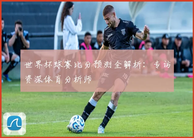 世界杯球赛比分预测全解析：专访资深体育分析师